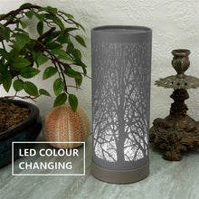 Load image into Gallery viewer, Grey LED Colour changing Electric wax lamp The Aroma Lamp Takes On an Exciting New Twist! Not Restricted To Just One Colour, The LED Lights Inside Cycle Through a Mesmerising Array of Colours as They Fade Gently To The Next. The Wax Melt Dish Is Contained Inside the Body of the Lamp And Is Heated On a Hot Plate.10 x 10 x 26cm