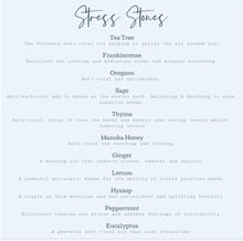 Load image into Gallery viewer, Aromatherapy Stress Stones